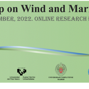 4th Workshop on Wind and Marine Energy